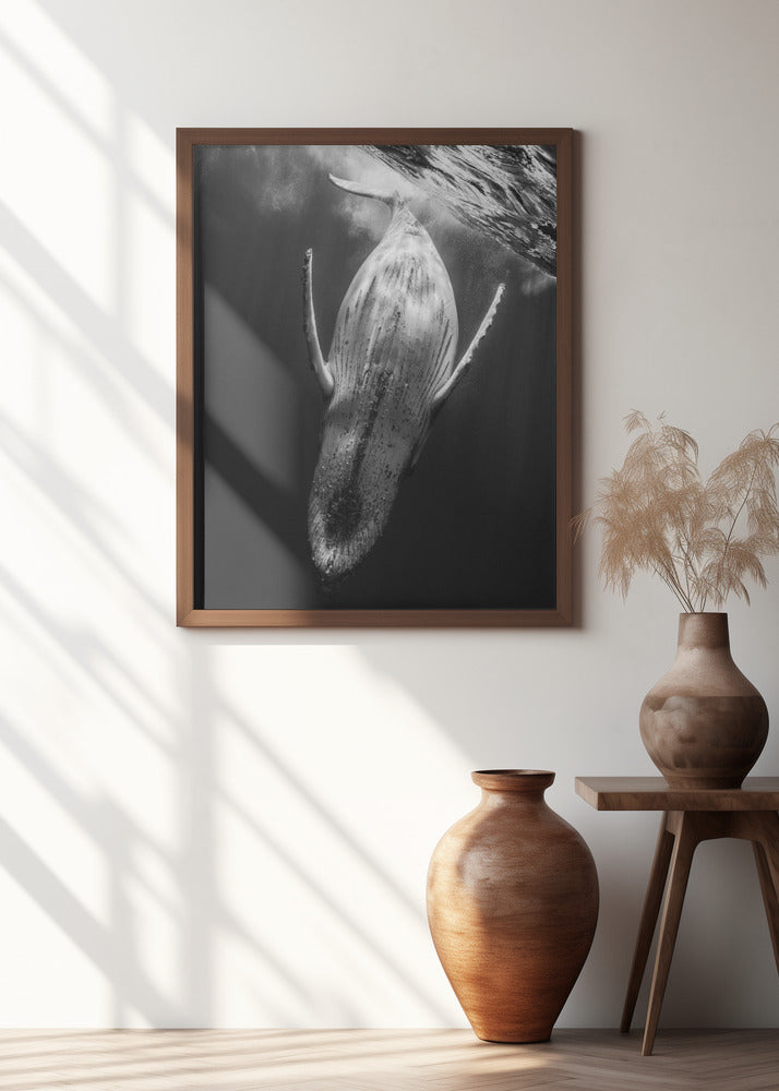 Black & Whale Poster